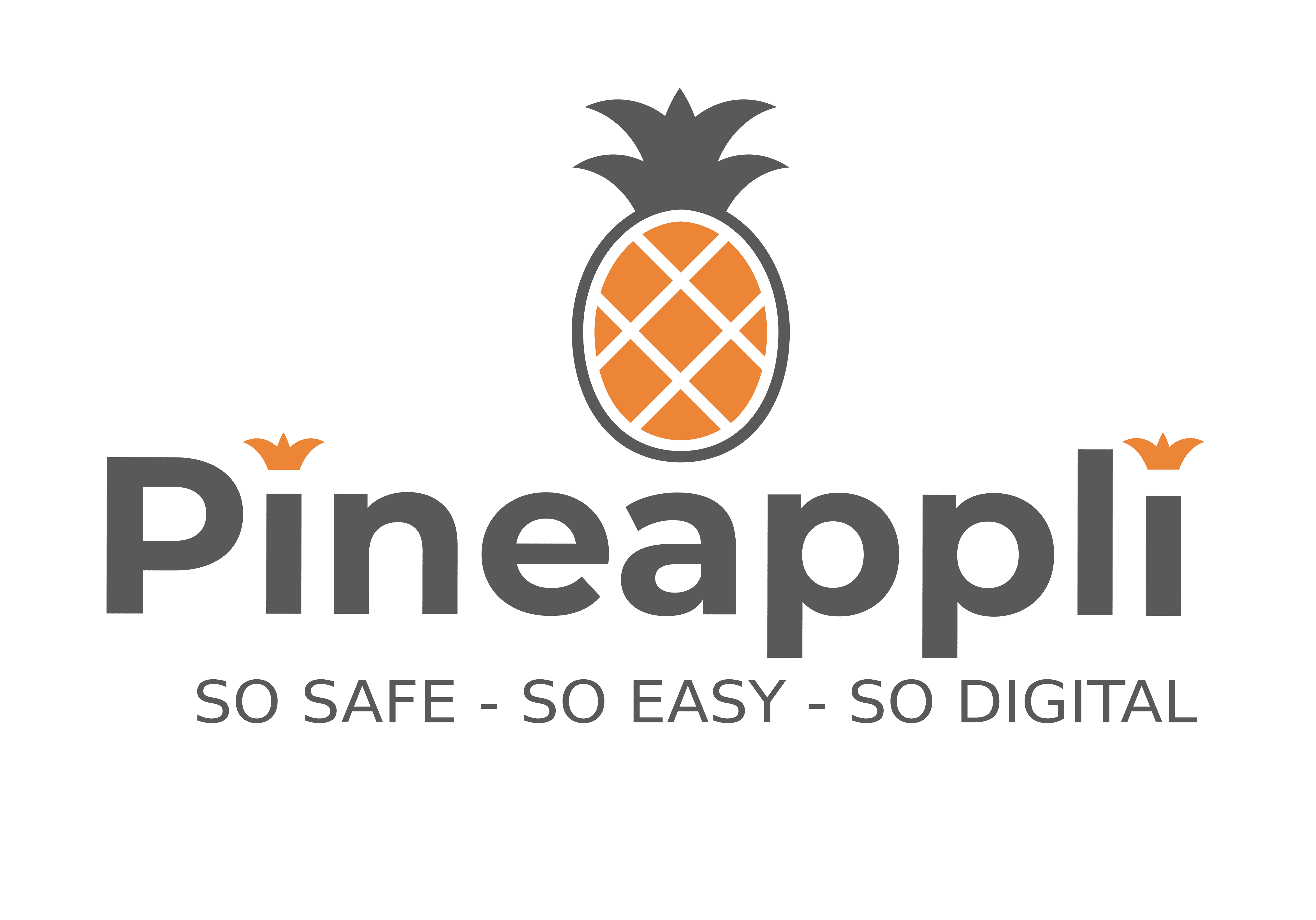 Pineappli, simplifier vos processus métiers